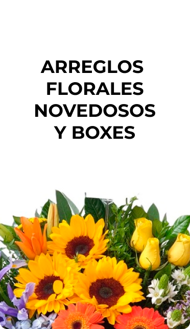 Arreglos florales novedosos y boxes1