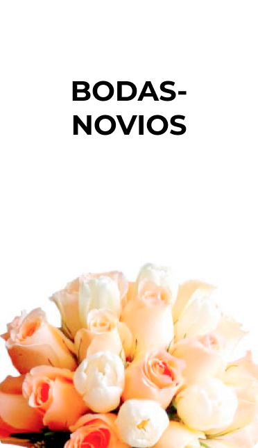 Bodas - novios1