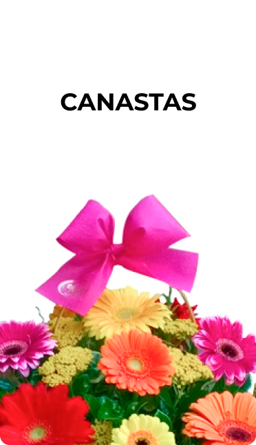 Canastas1