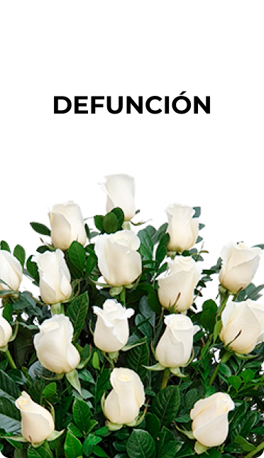 Defunción1