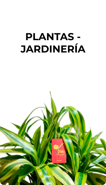 Plantas jardinería1