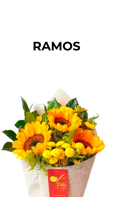 Ramos1