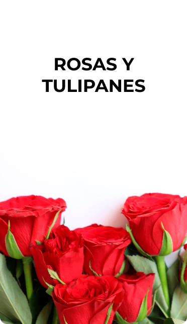 Rosas y tulipanes1